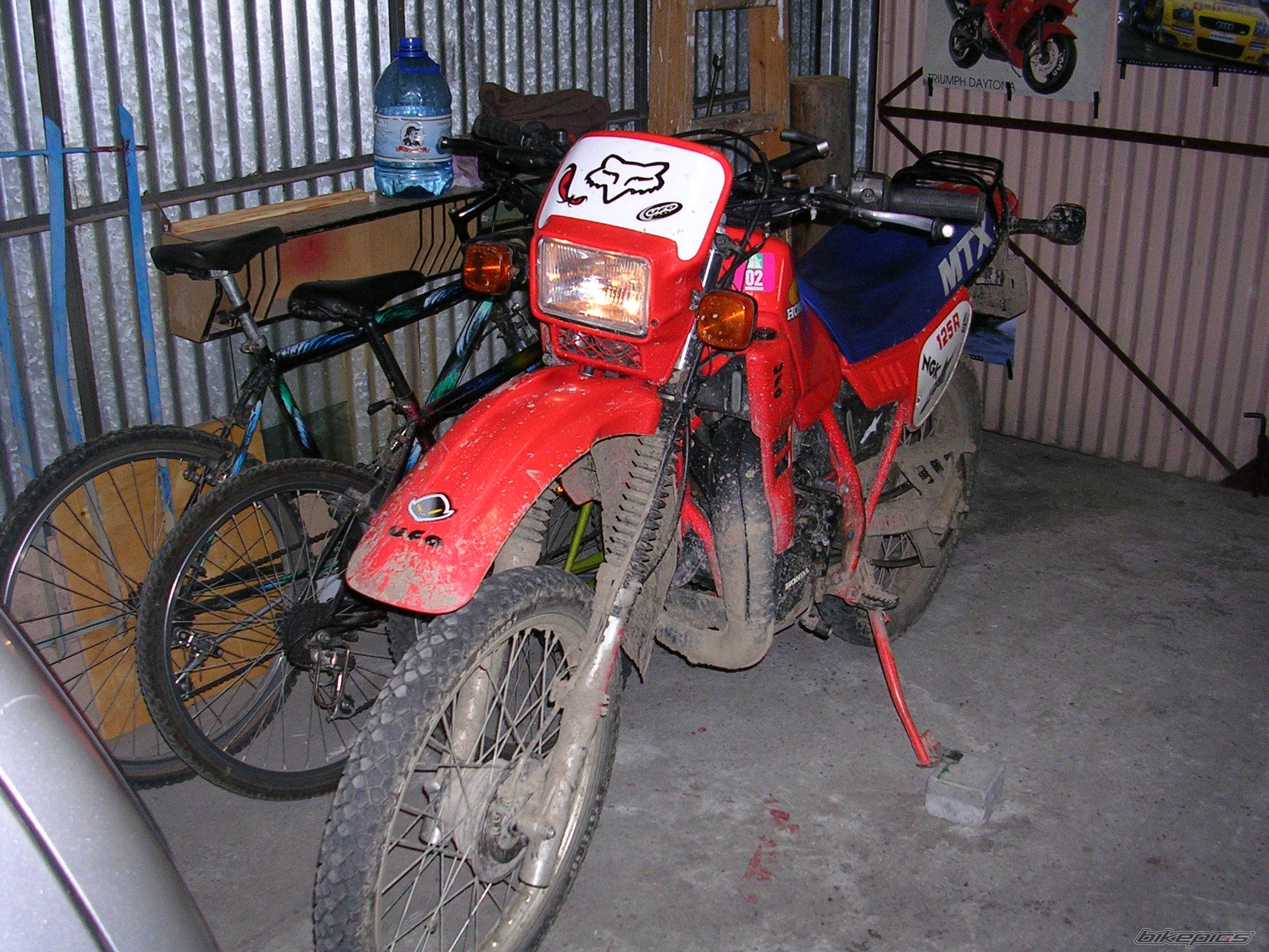 Photo 193329