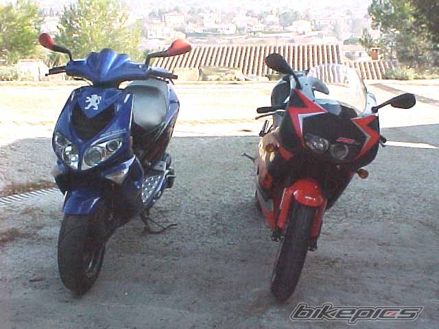 Photo 19333