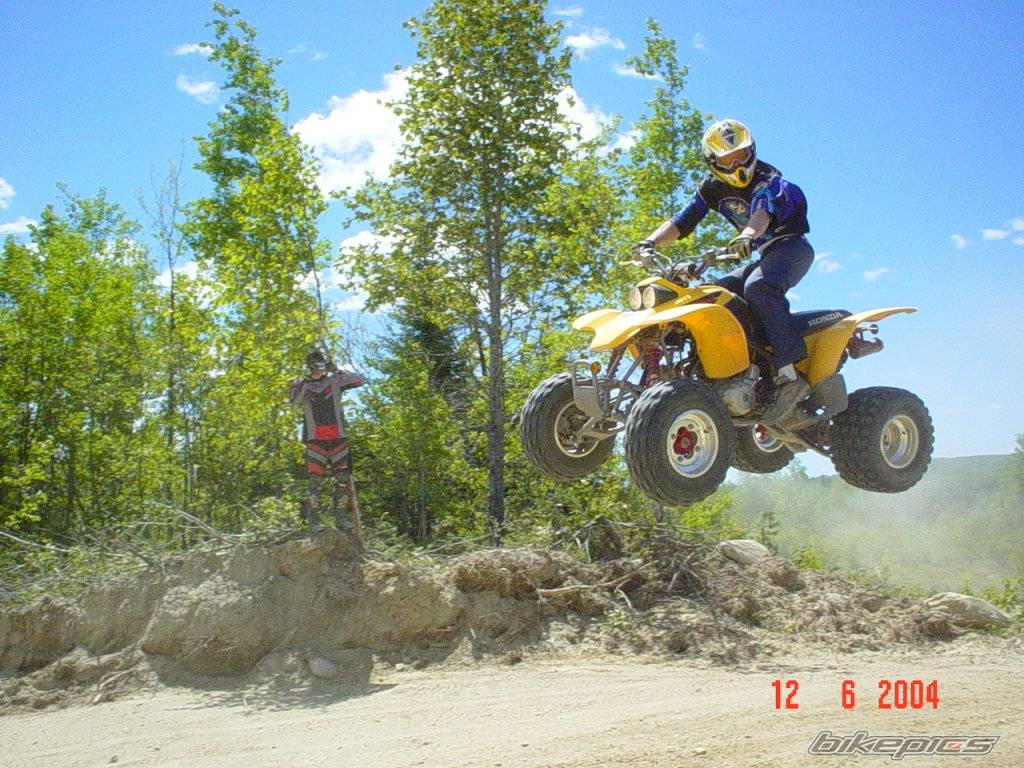 Photo 193348
