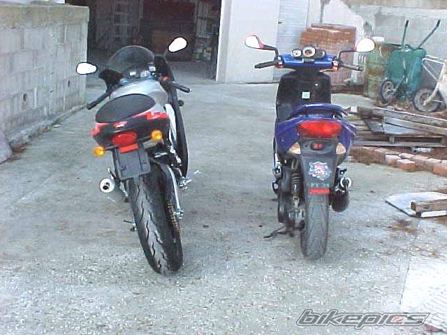 Photo 19335