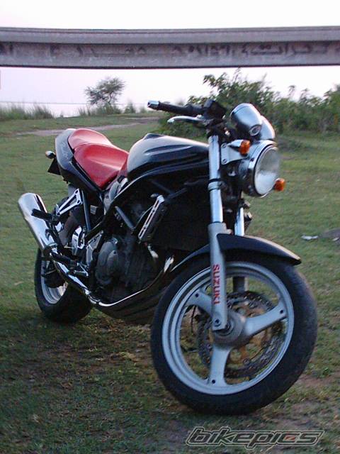 Photo 193367