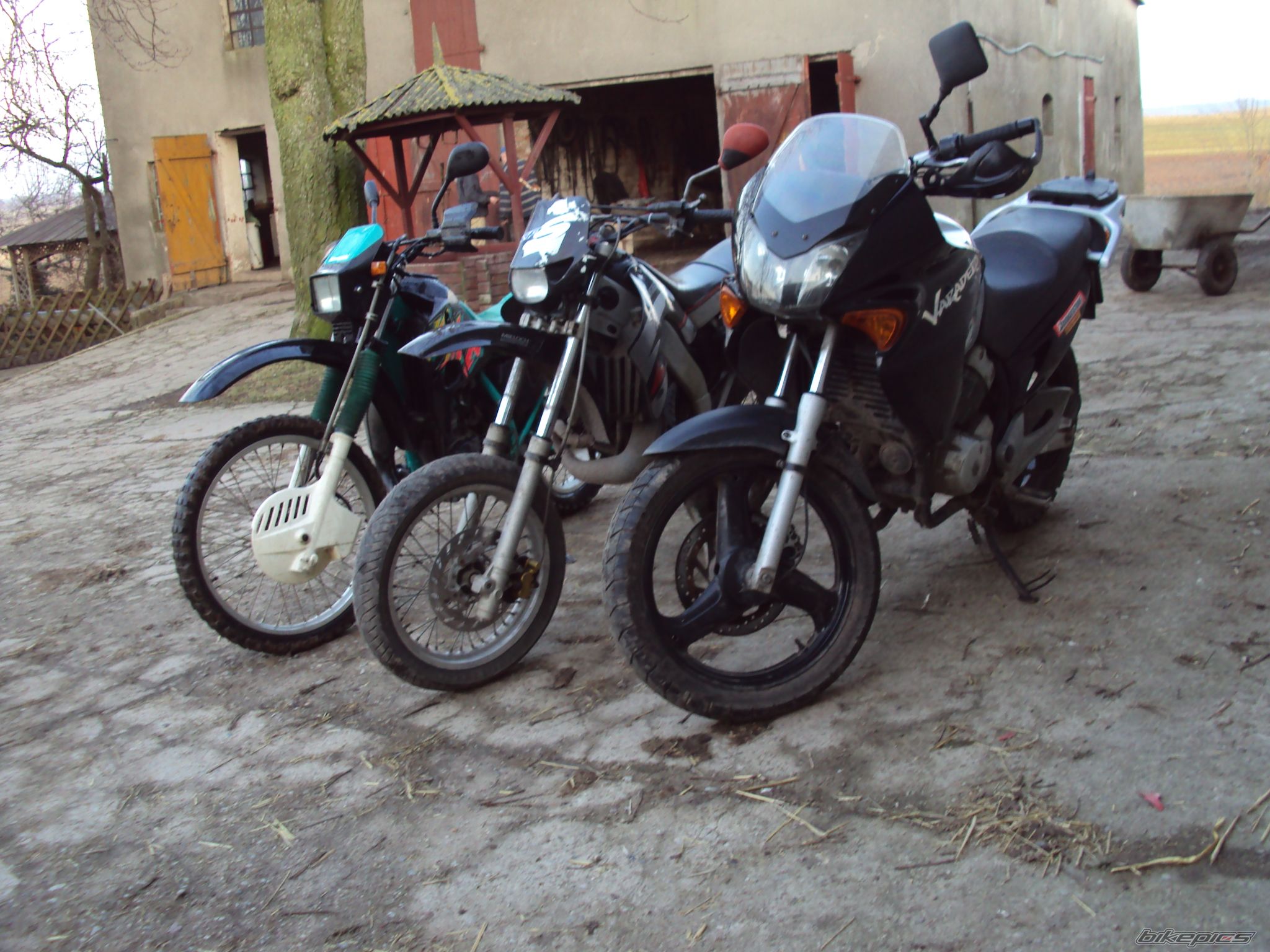 Photo 1933709