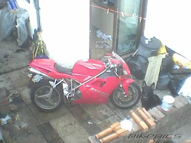Photo 193377