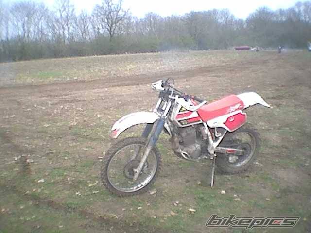 Photo 193386