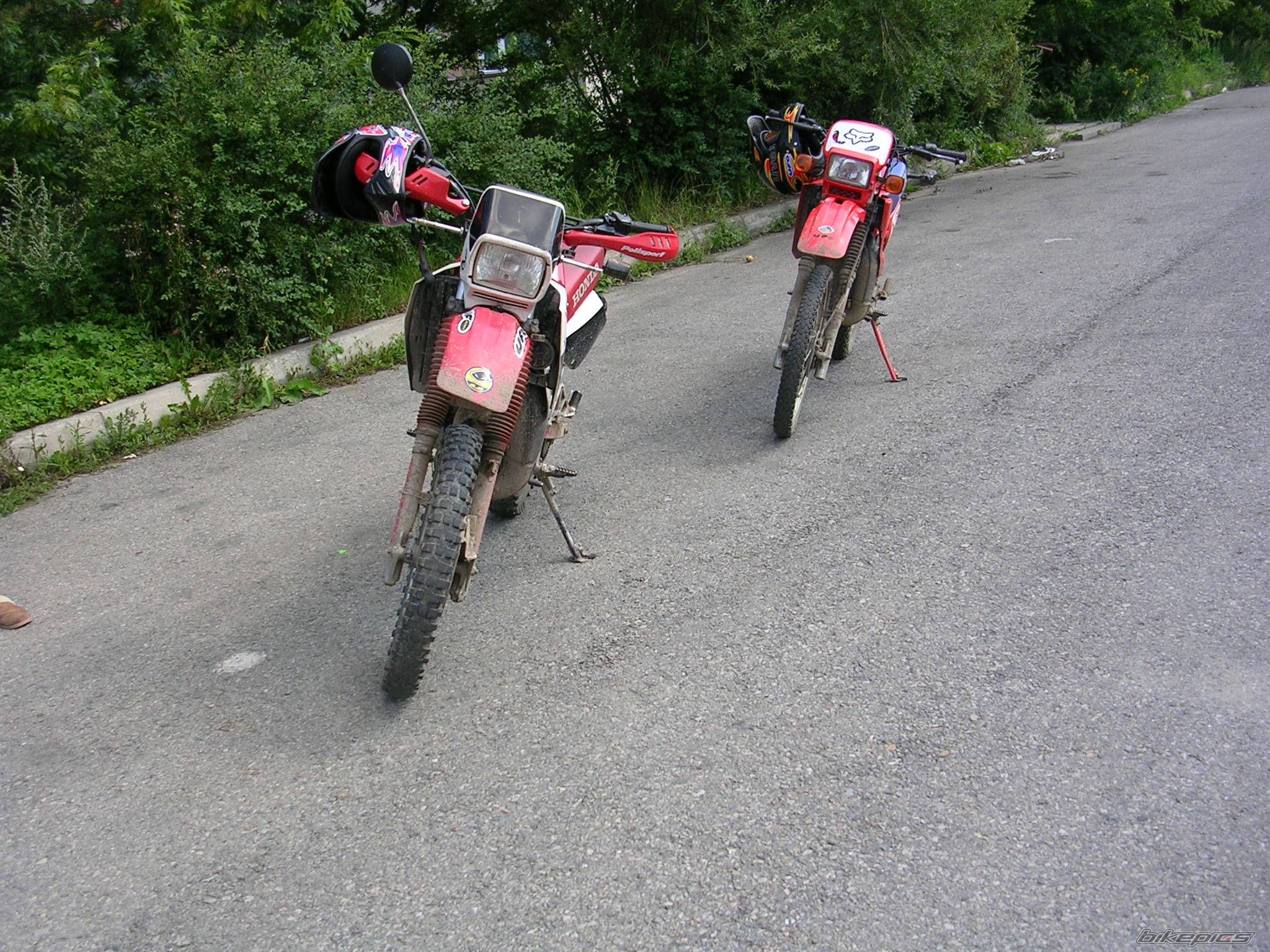 Photo 193428