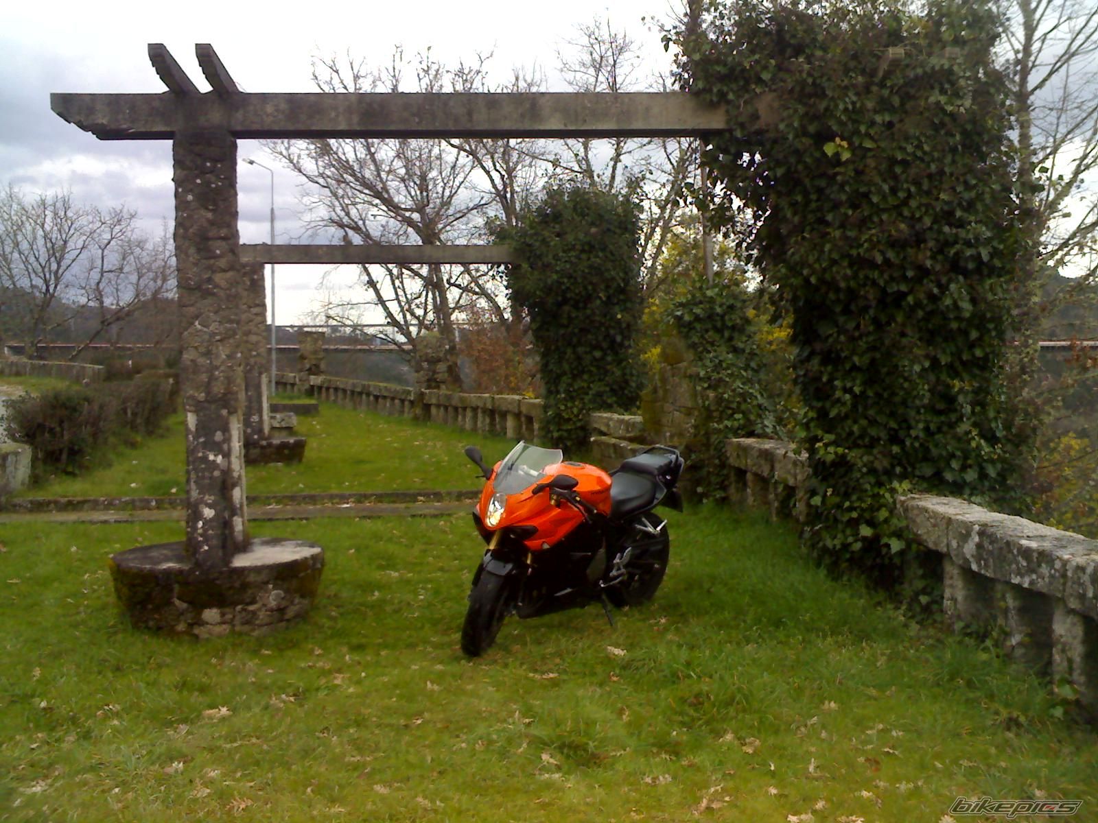 Bike Photo 1934374