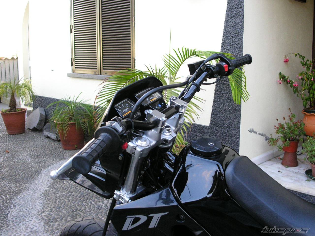 Photo 193440