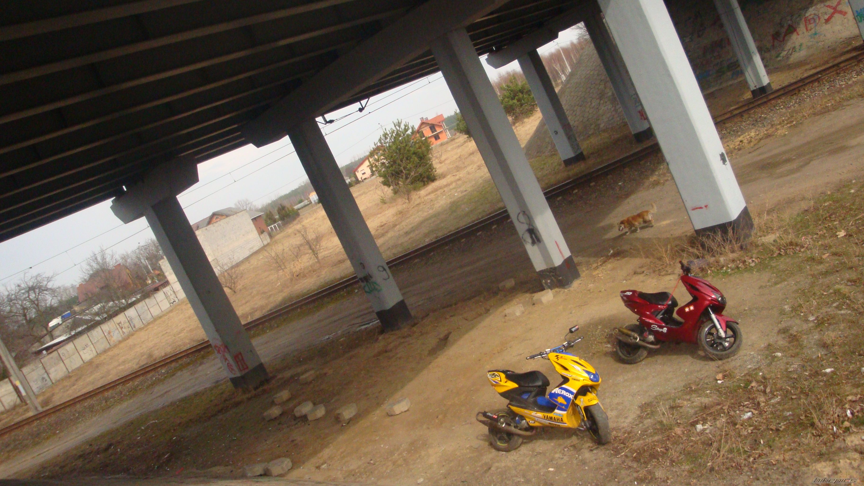 Photo 1934454
