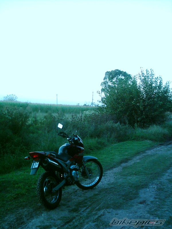 Bike Photo 1934512