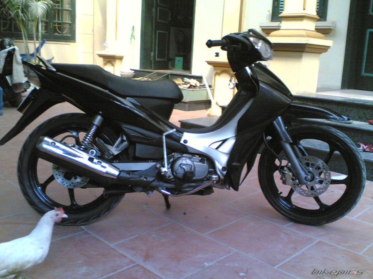 Photo 1934620