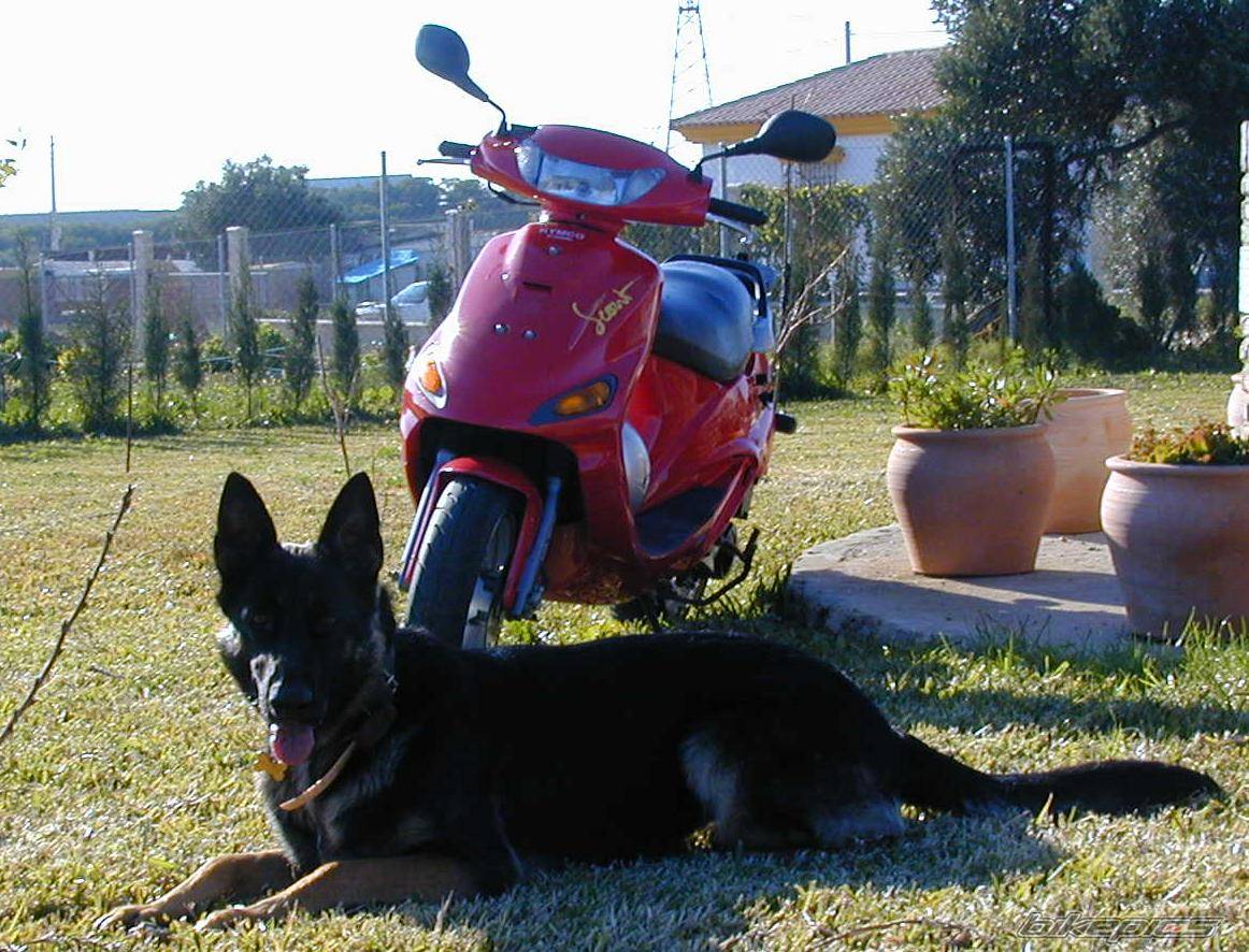 Bike Photo 193465