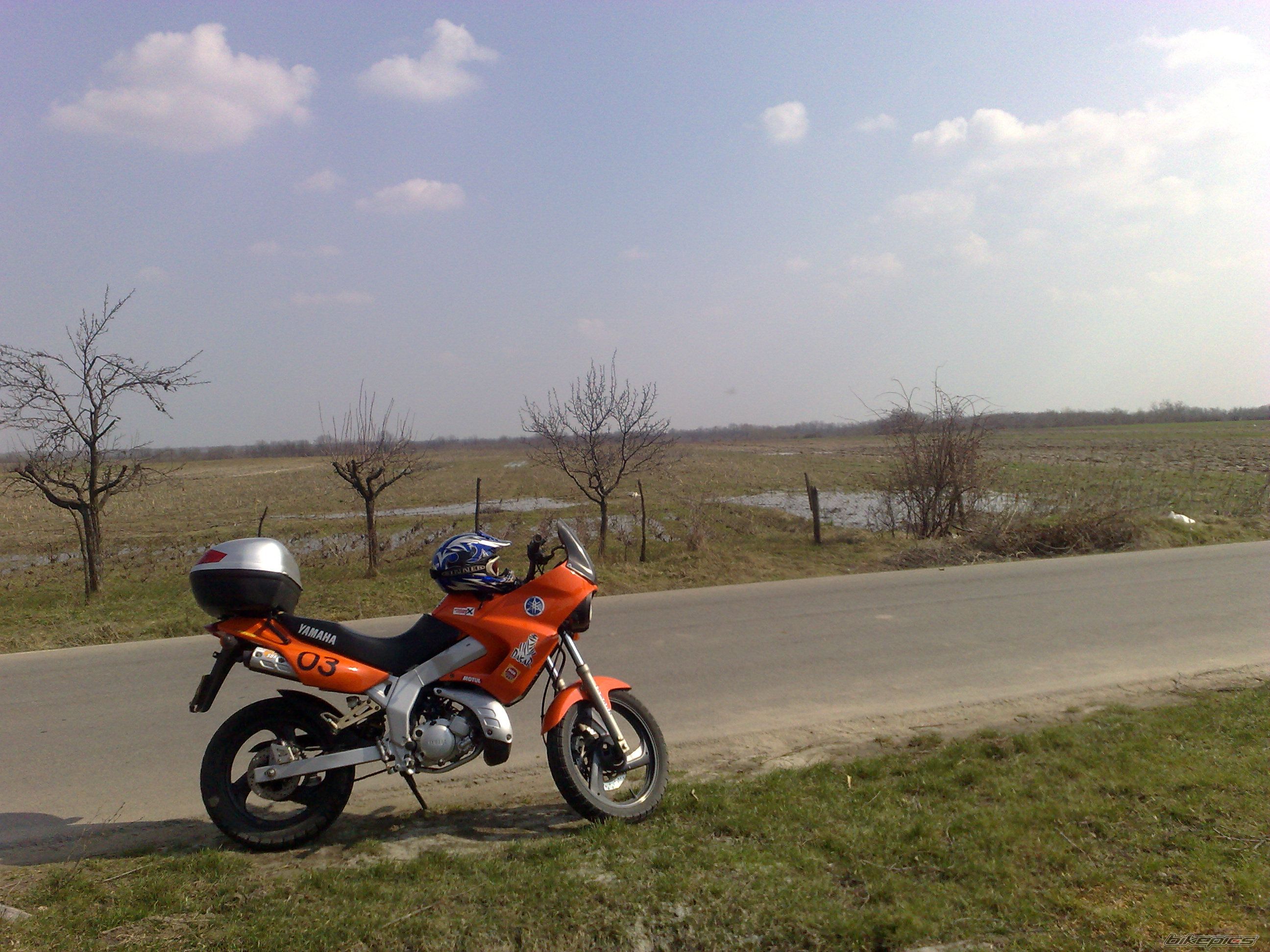 Photo 1934982