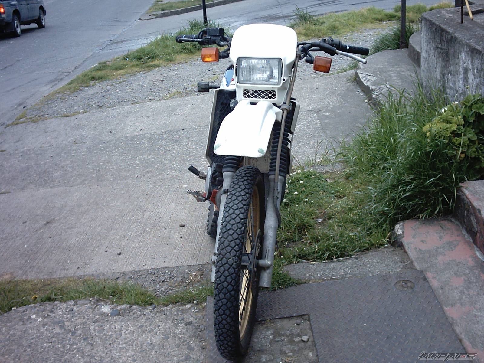 Photo 193533