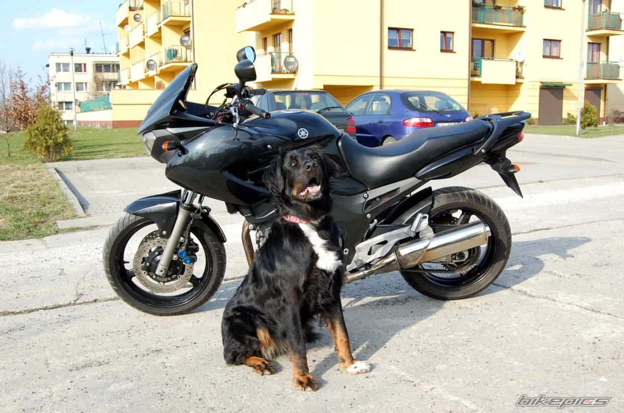 Bike Photo 1935481