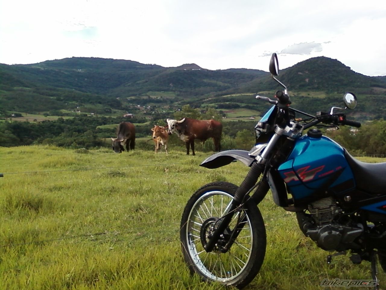Photo 1935766