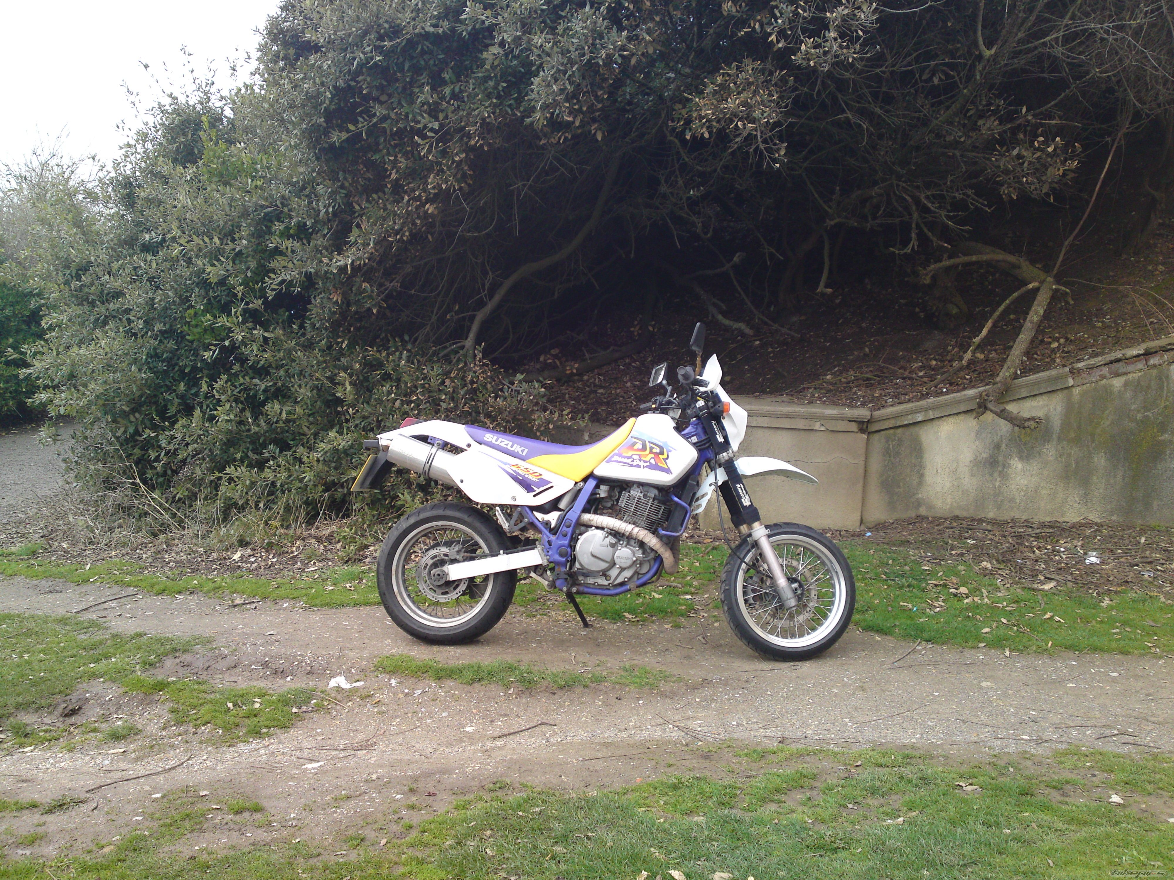 Photo 1937286
