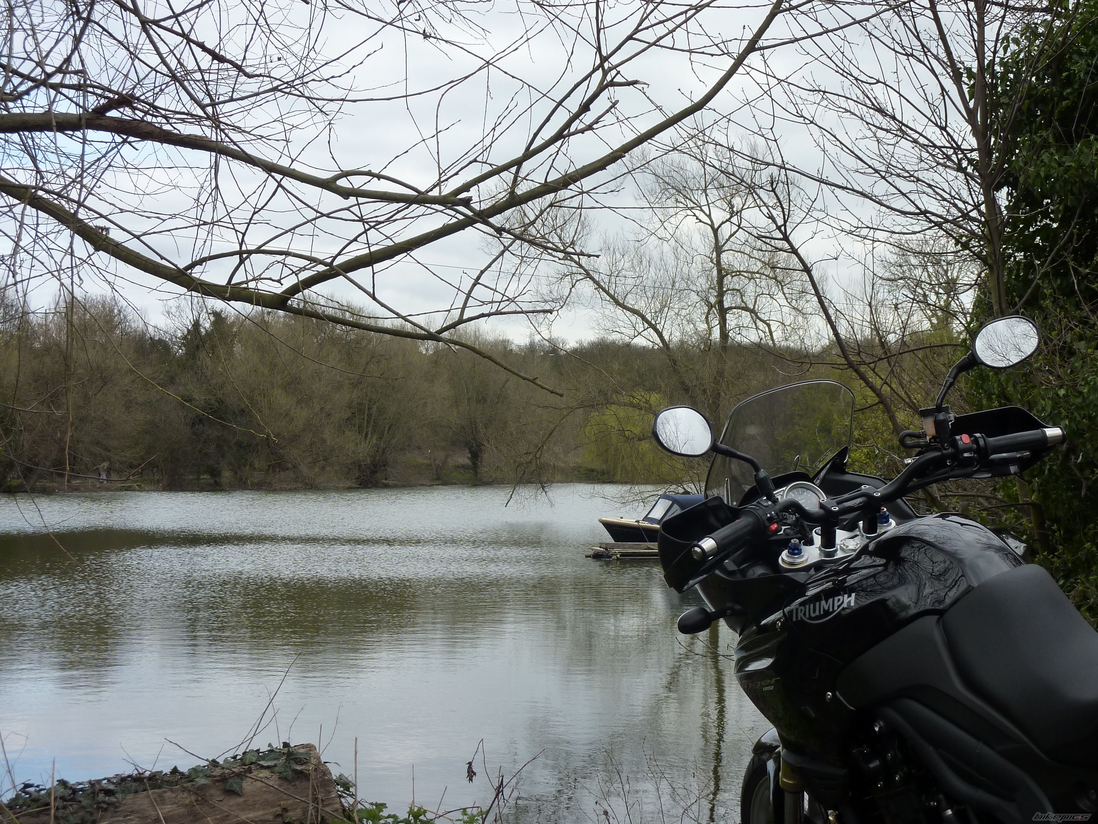 Photo 1937475