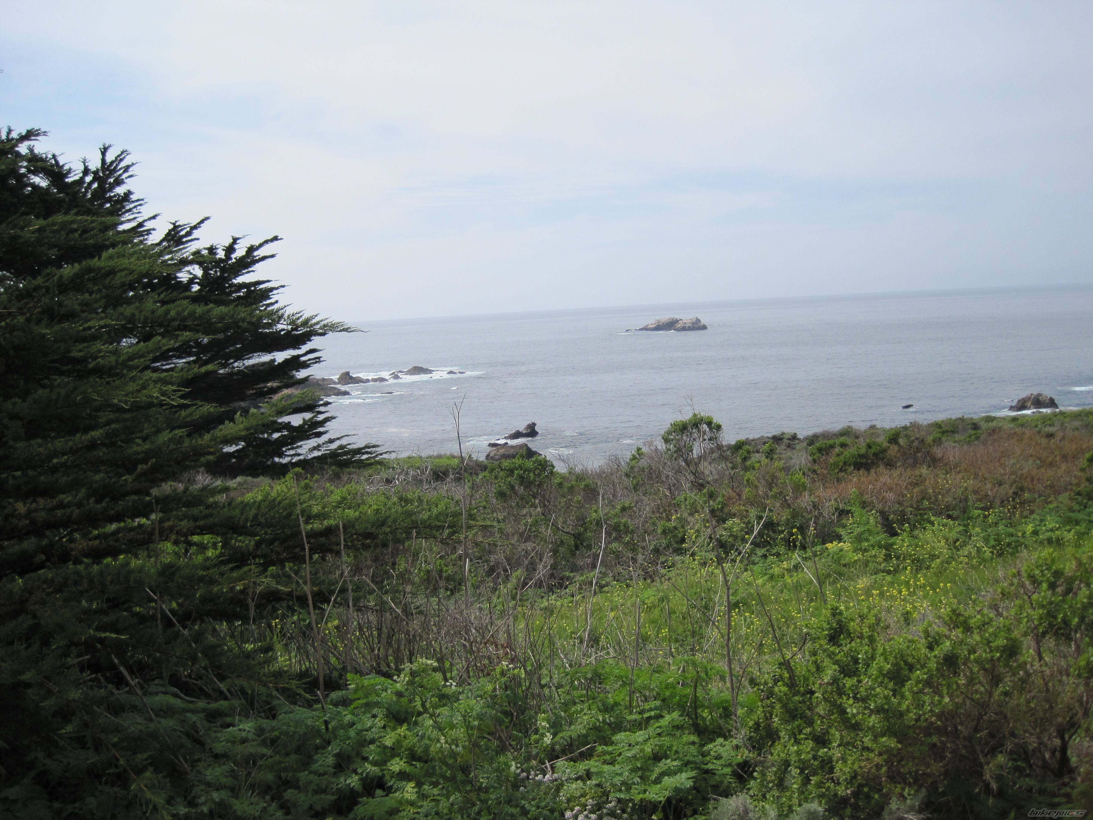 Photo 1937894