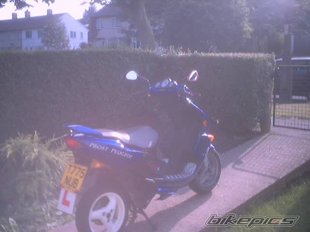 Photo 193792