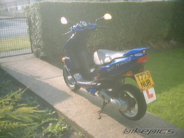 Photo 193795