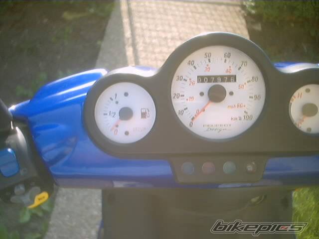 Photo 193798