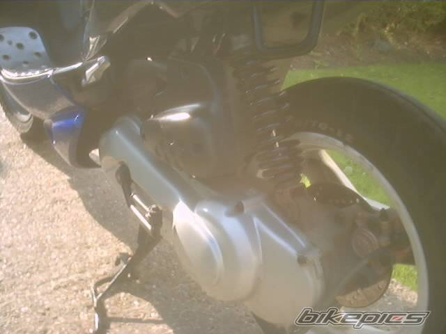 Photo 193808
