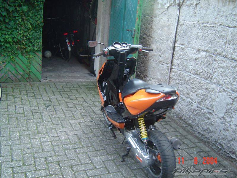 Photo 193819