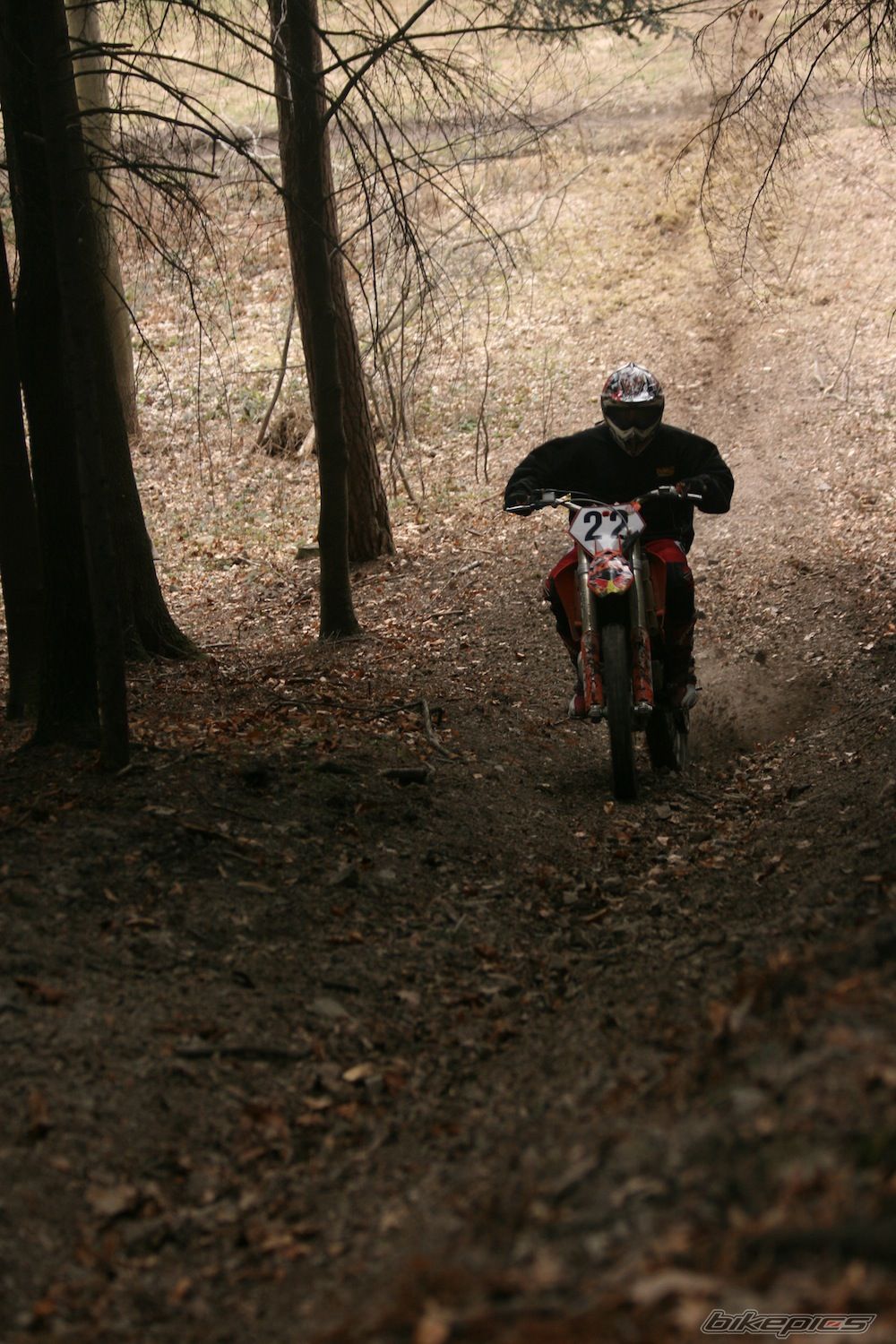 Bike Photo 1938447