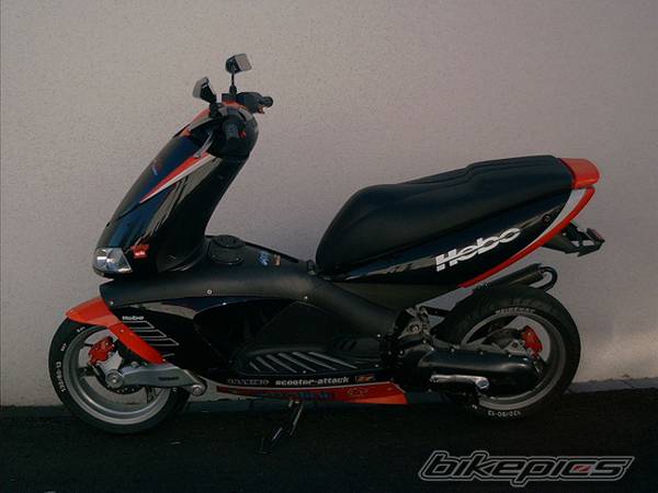 Photo 19385