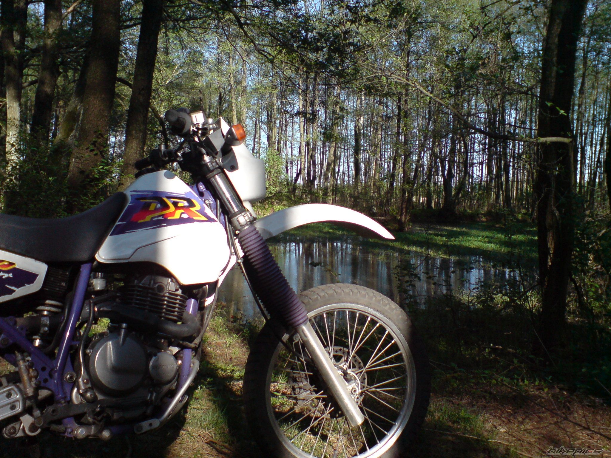 Bike Photo 1938544