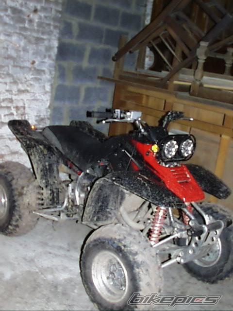 Photo 193872
