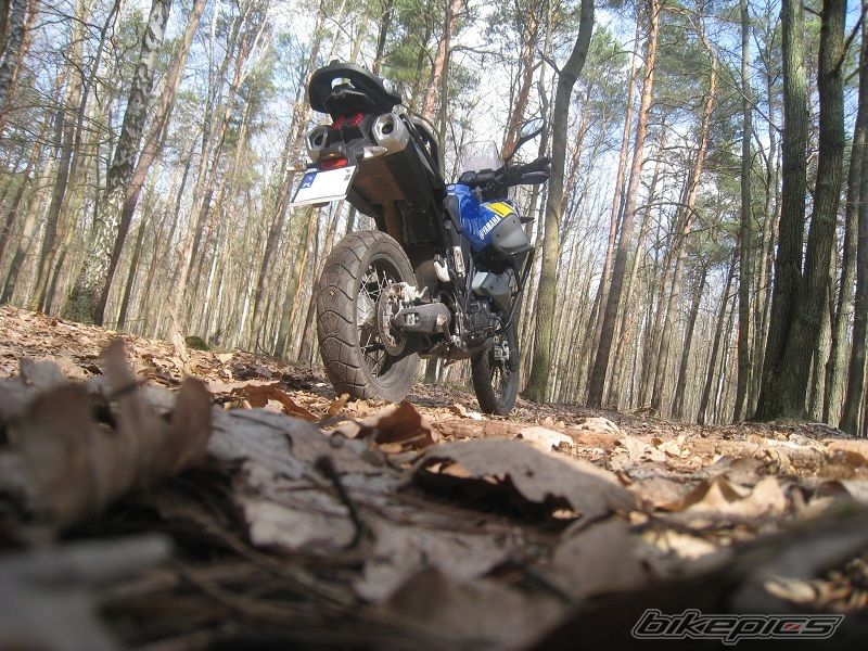 Bike Photo 1939050