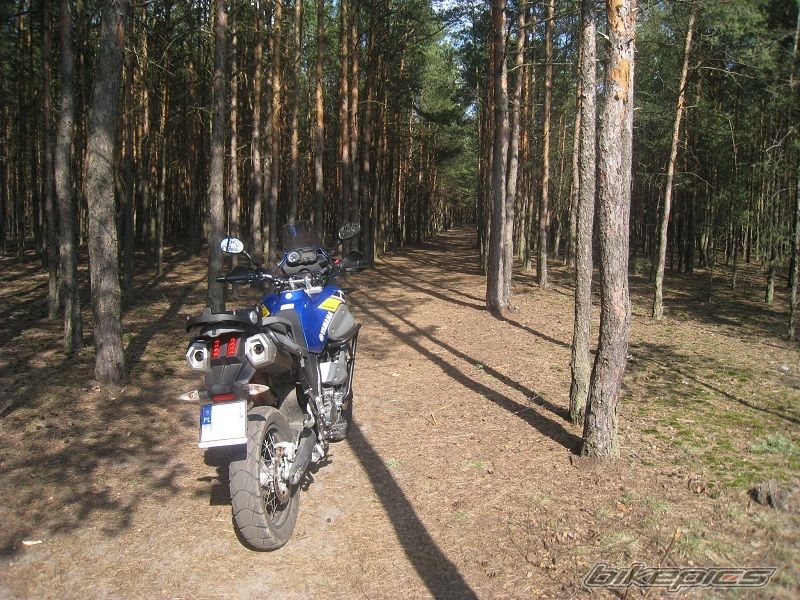 Bike Photo 1939052