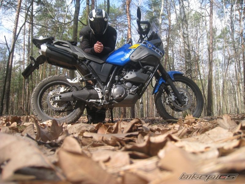 Bike Photo 1939054
