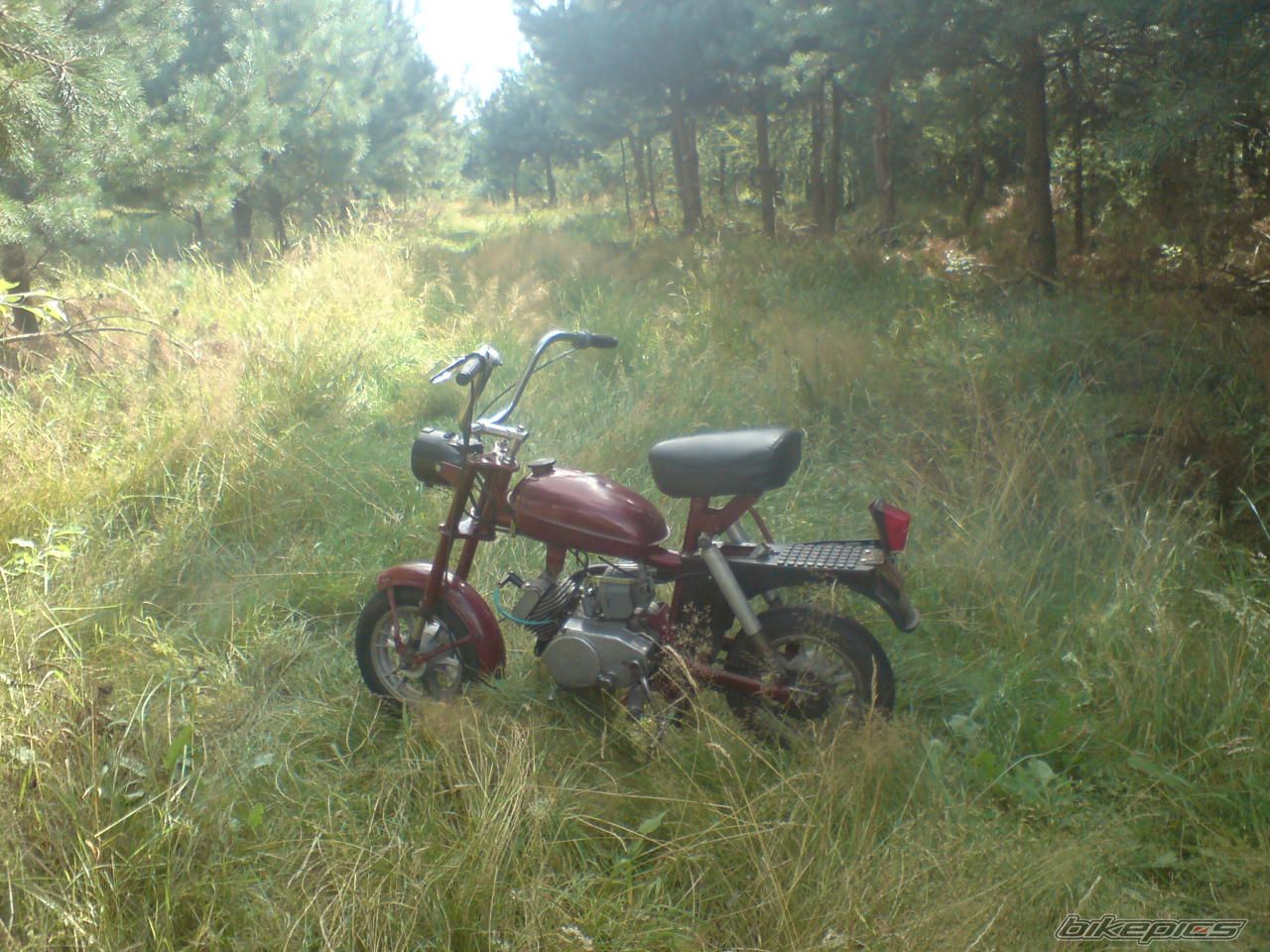 Photo 1939117
