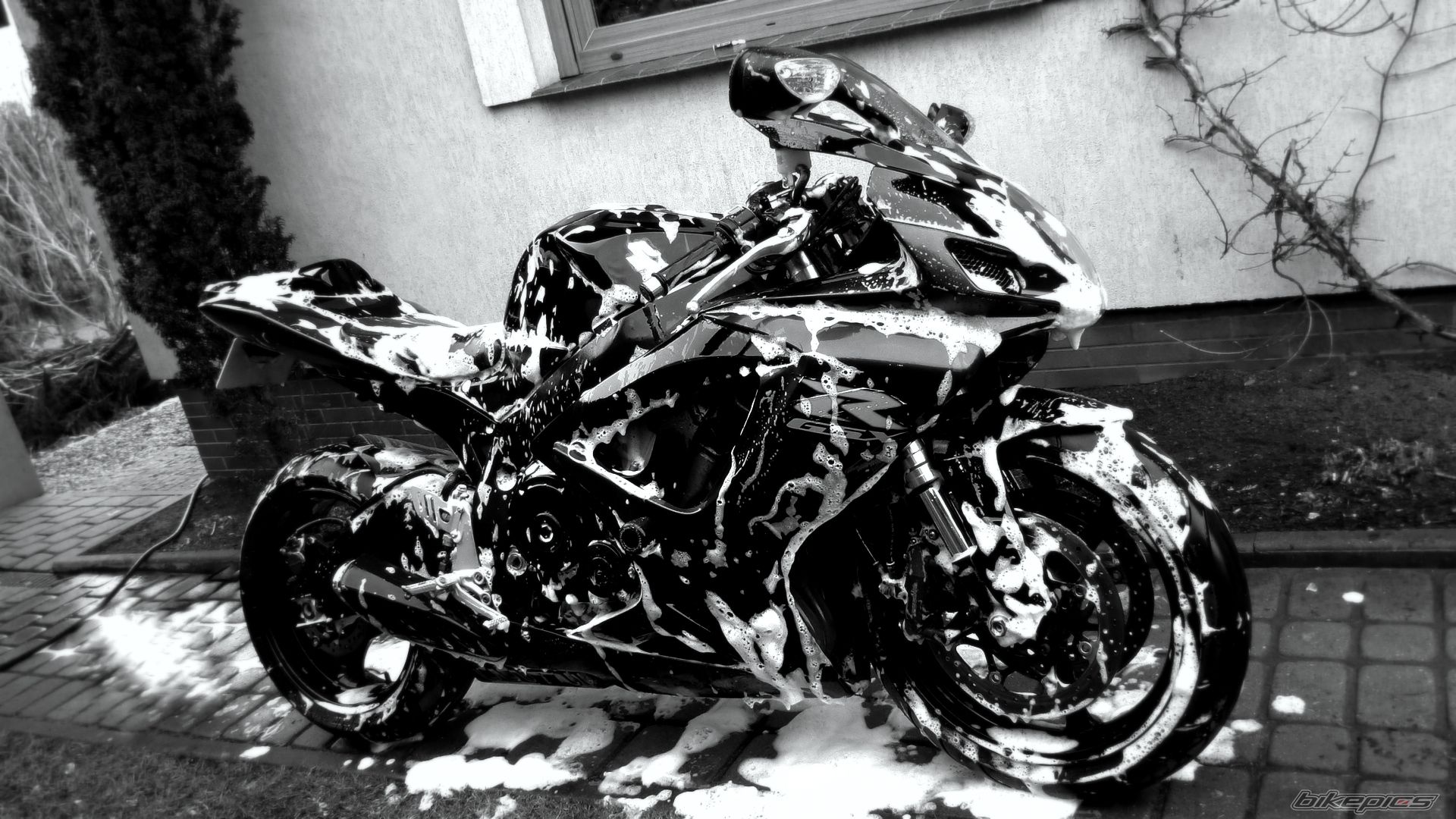Bike Photo 1939118