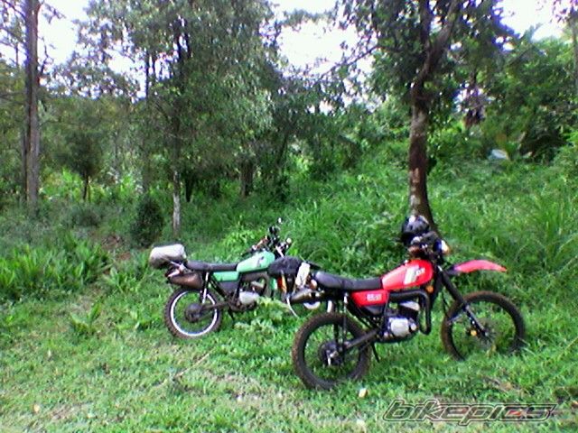 Bike Photo 1939488