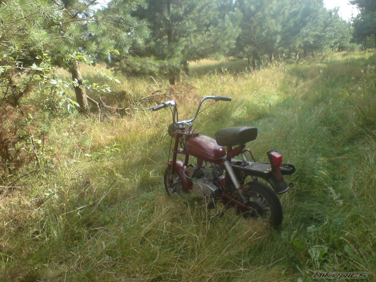 Photo 1939575