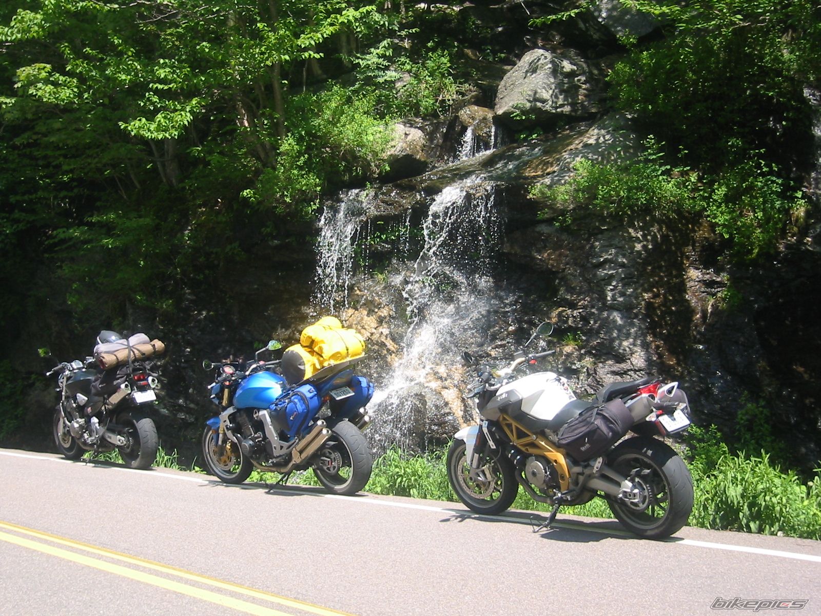 Bike Photo 1939612