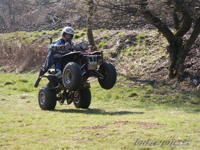 Photo 193986