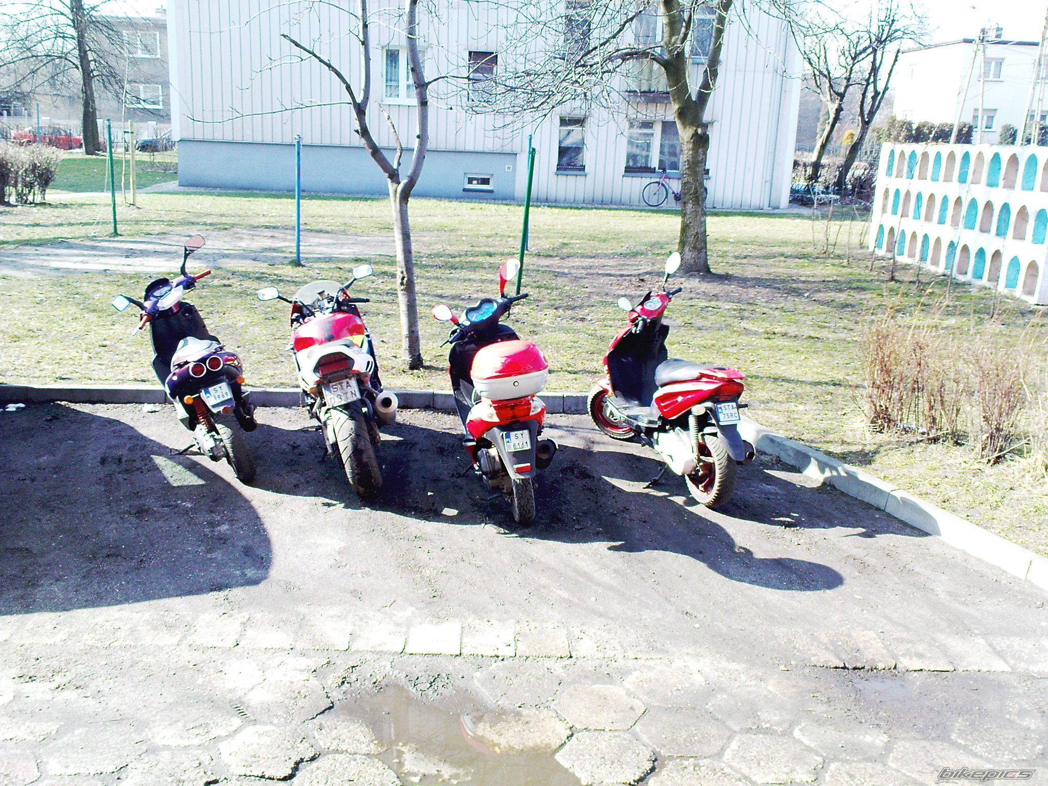 Bike Photo 1940229