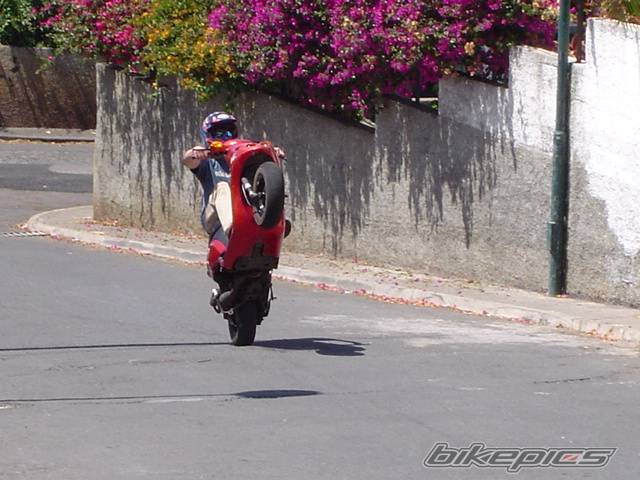 Photo 194040