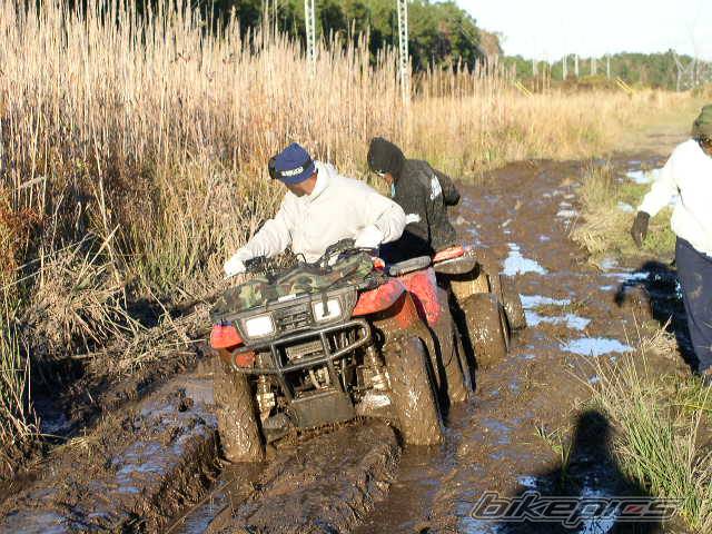 Photo 194047
