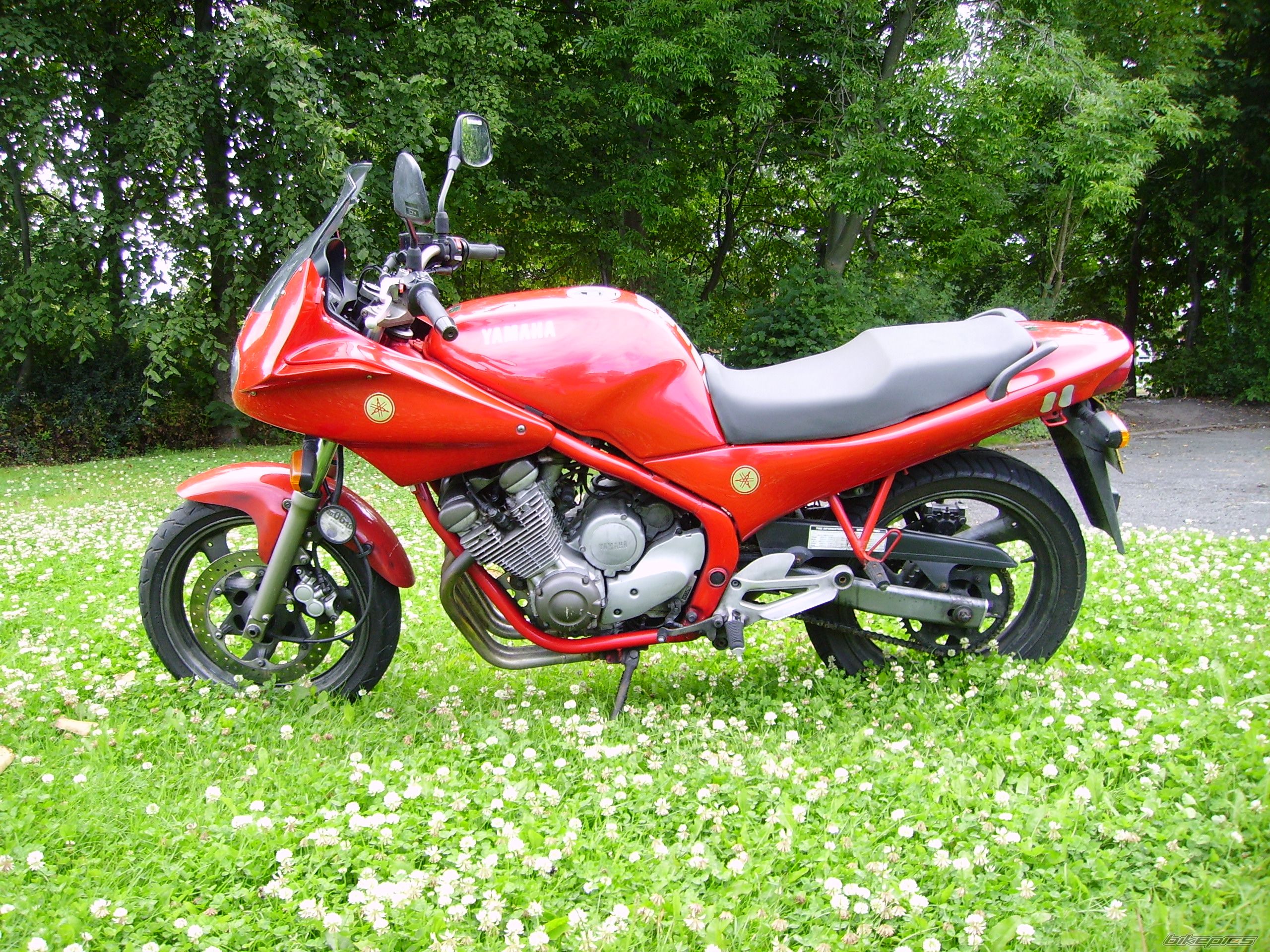 Bike Photo 1940801