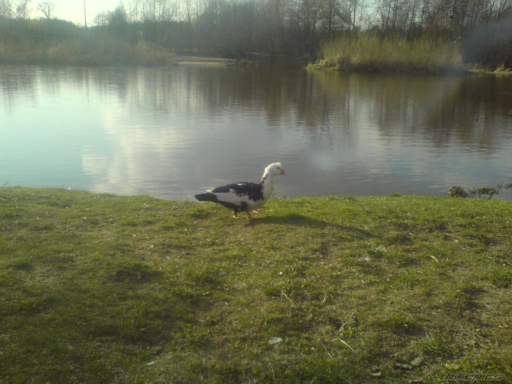 Photo 1941063