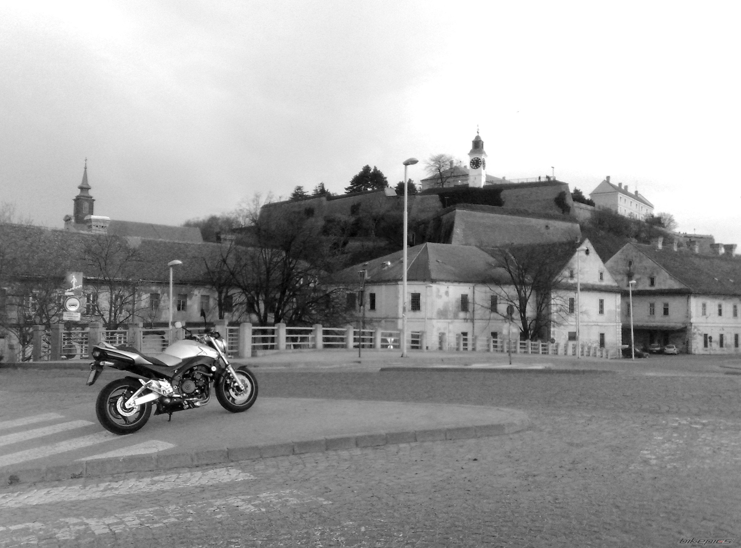 Photo 1941157