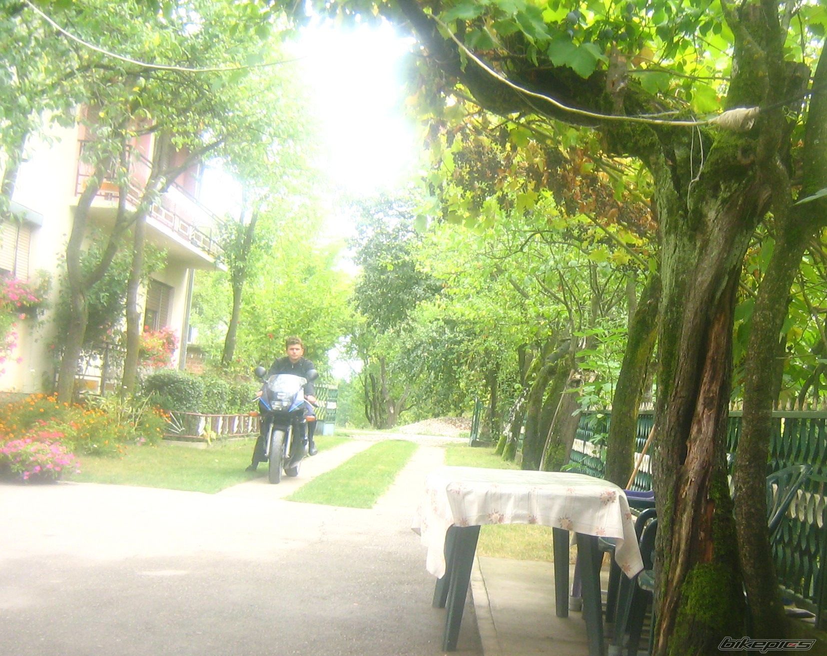 Bike Photo 1941182