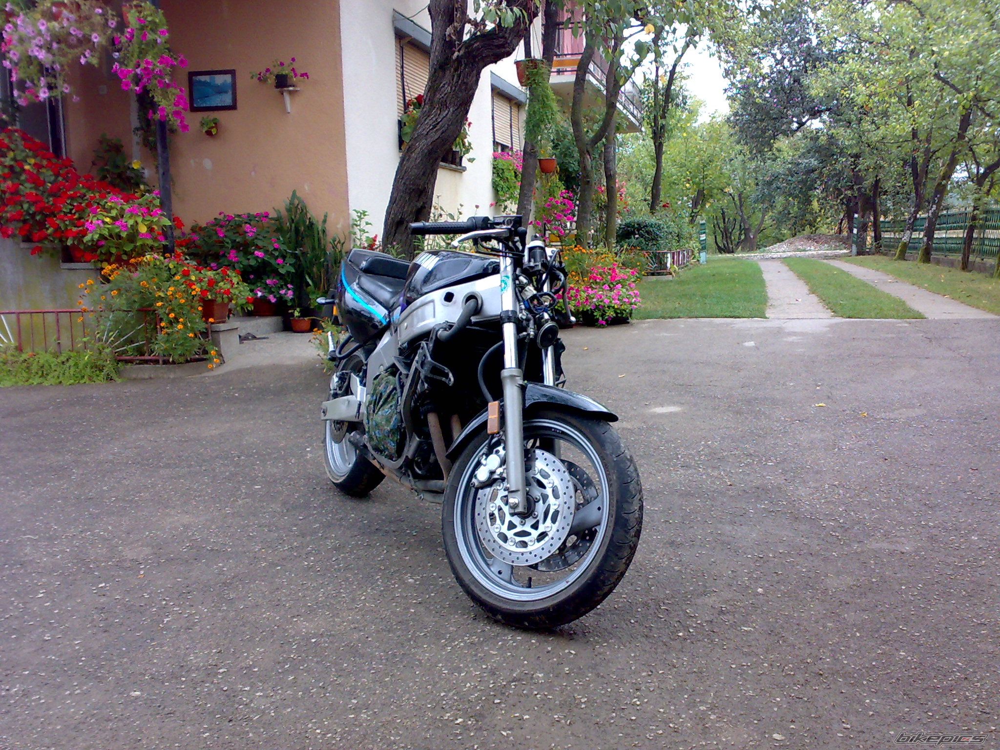 Bike Photo 1941192