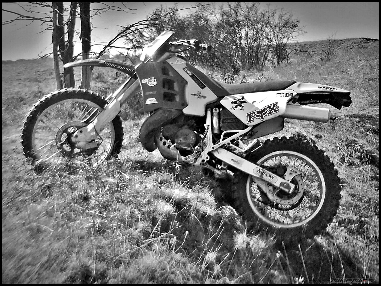 Bike Photo 1941383