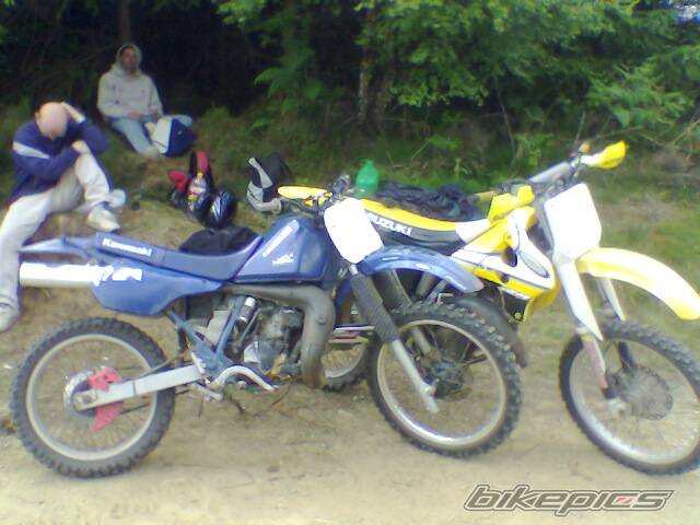 Photo 194157